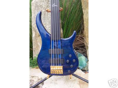 fretless01.jpg