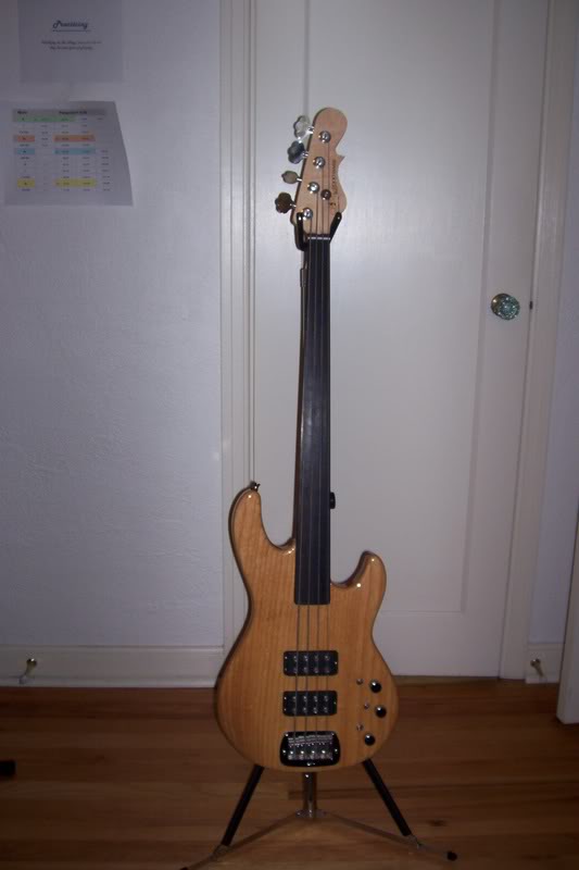 Fretless1.jpg
