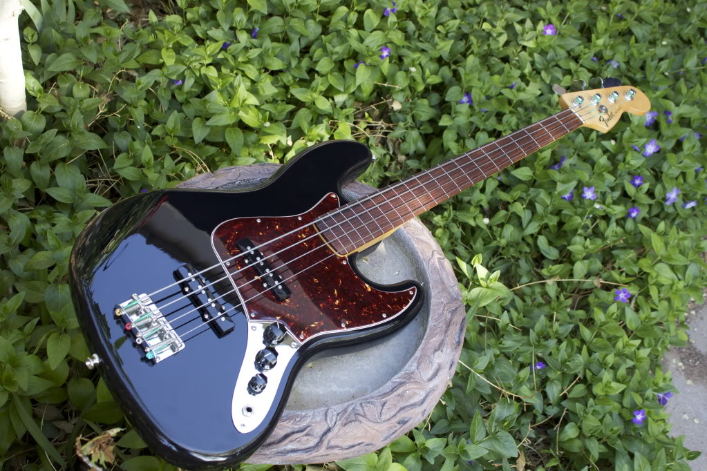 Fretless1.jpg