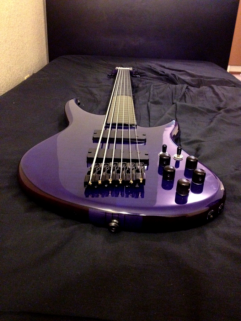 fretless1_zpssrsetkxp.png