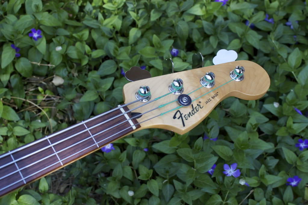 Fretless2.jpg