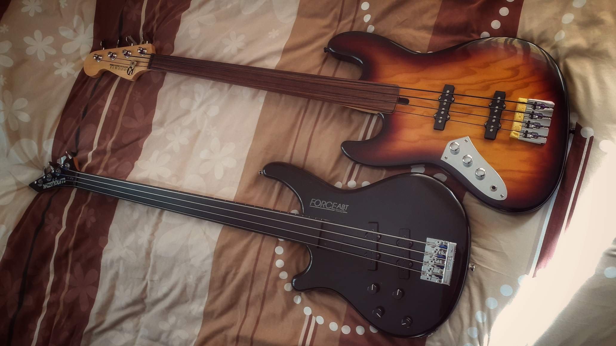 fretless_bass.jpeg