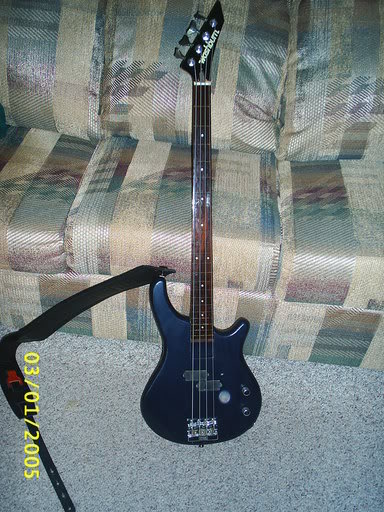 fretless_cou.jpg