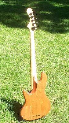 fretlessback.jpg