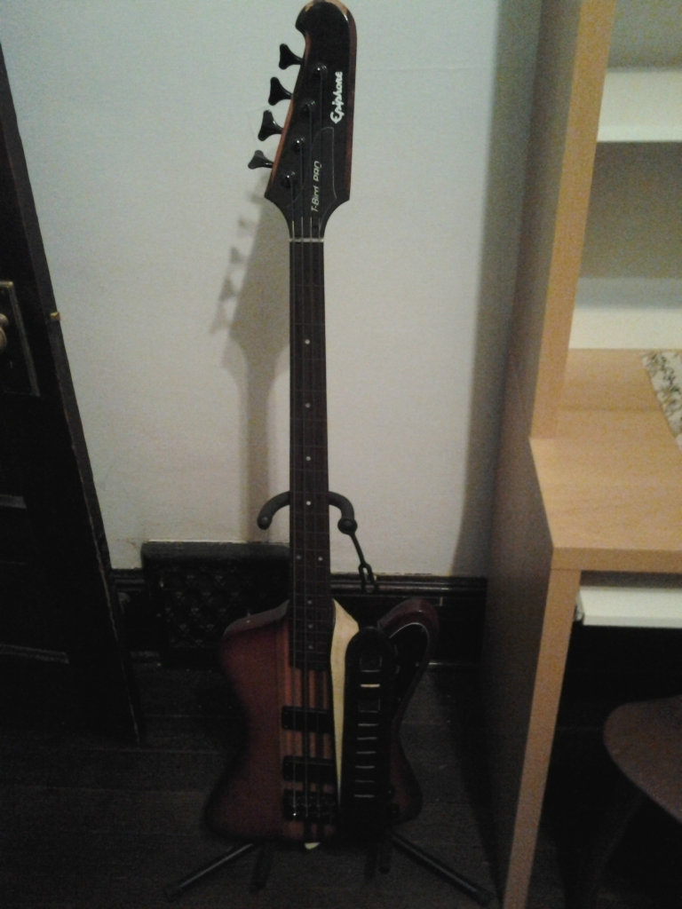 FretlessBird.jpg