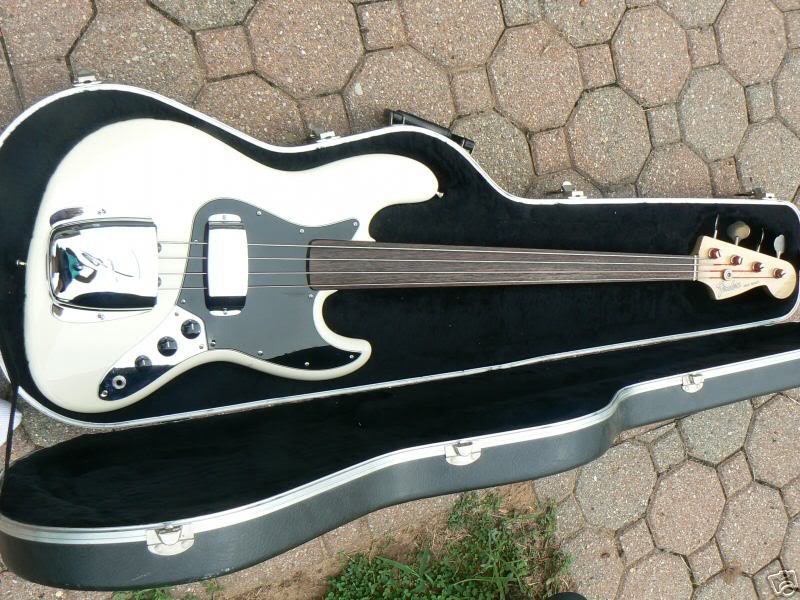 fretlessjincase2.jpg