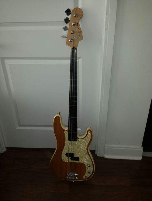FretlessP-2.jpg