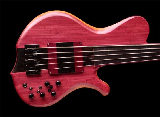 FretlessPic13.jpg
