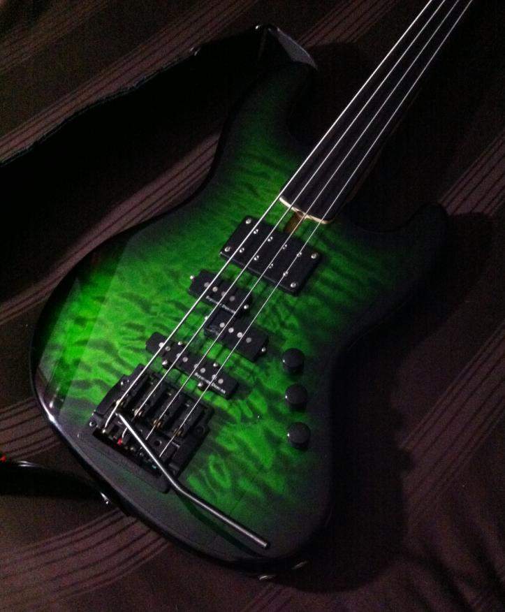 FretlessTrem1.JPG
