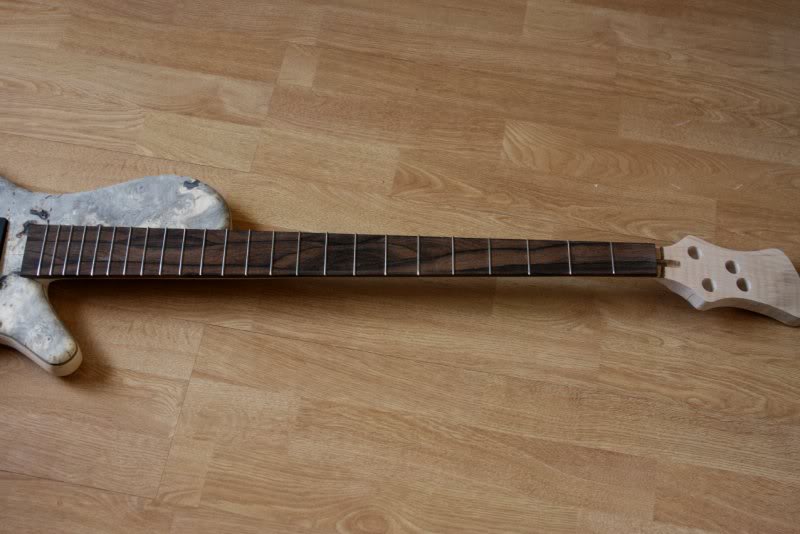 Fretted.jpg