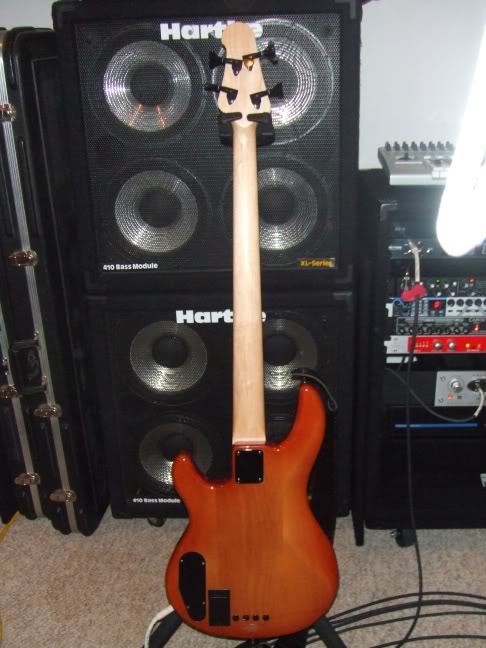 Frettedback.jpg