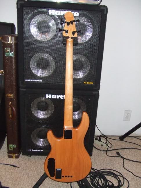 FrettedBack.jpg