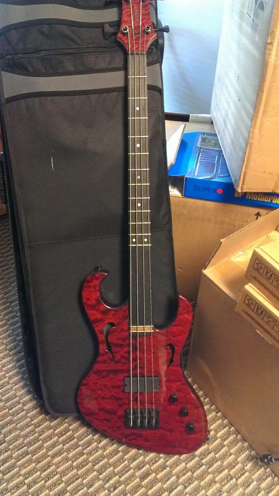 Frettedless.jpg