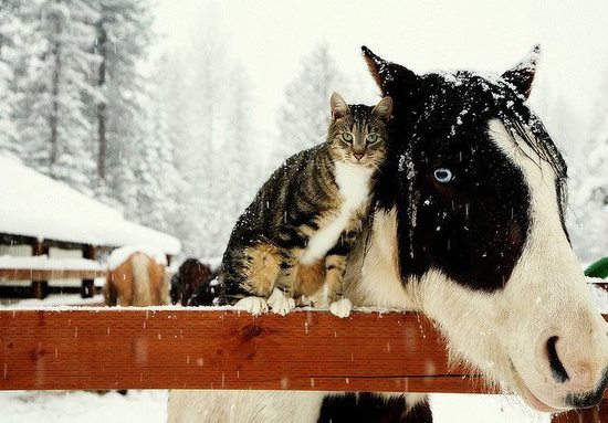 friends-5.jpg