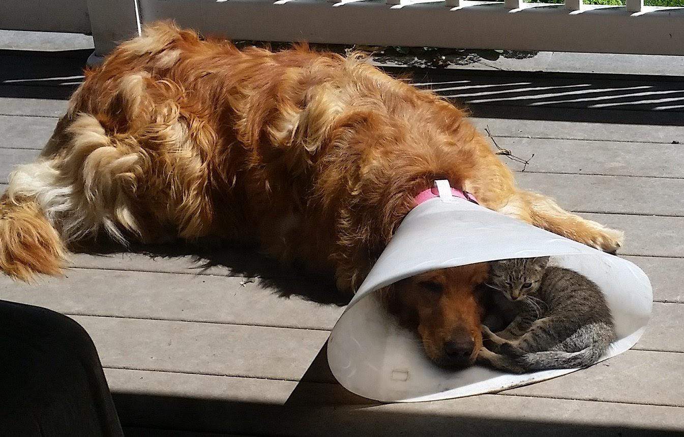 friends wil be.jpg