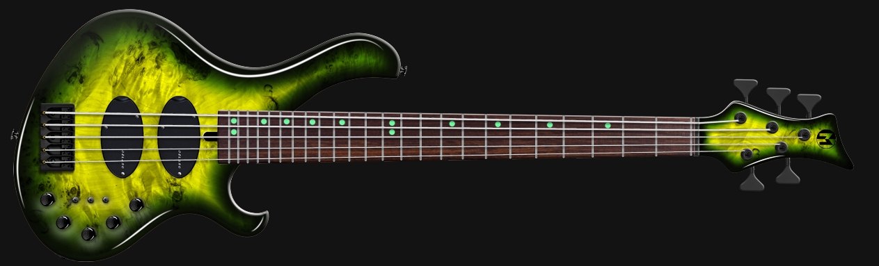 Frog 5.jpg