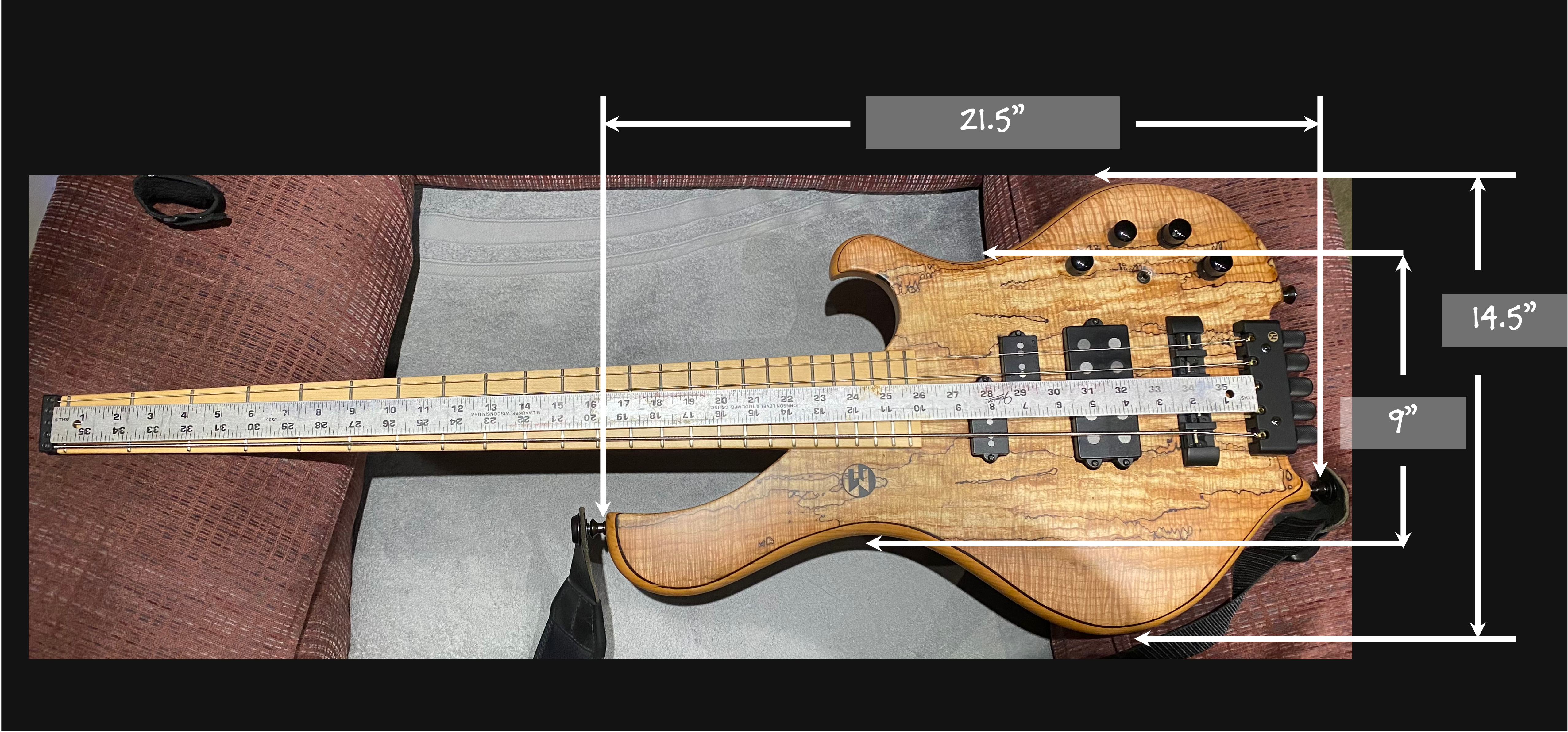 Frog Dimensions.png