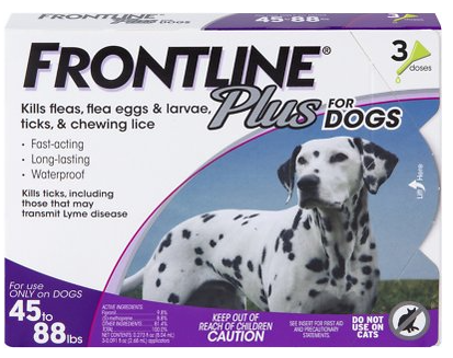 front.png