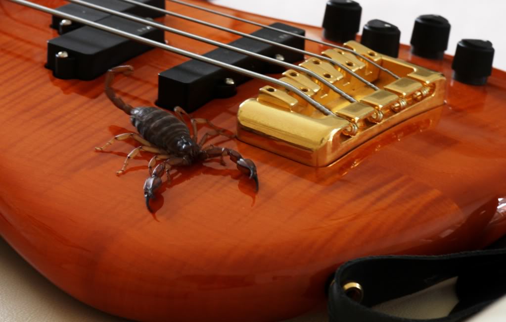 FRSpector2.jpg
