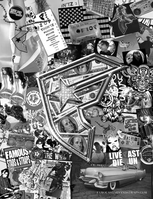 fsas_collage_bg_3.jpg