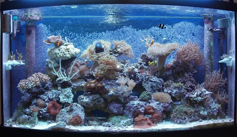 FTS80.jpg