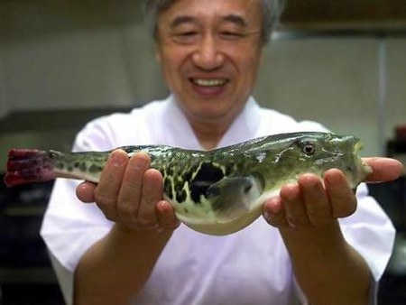 fugu.jpg