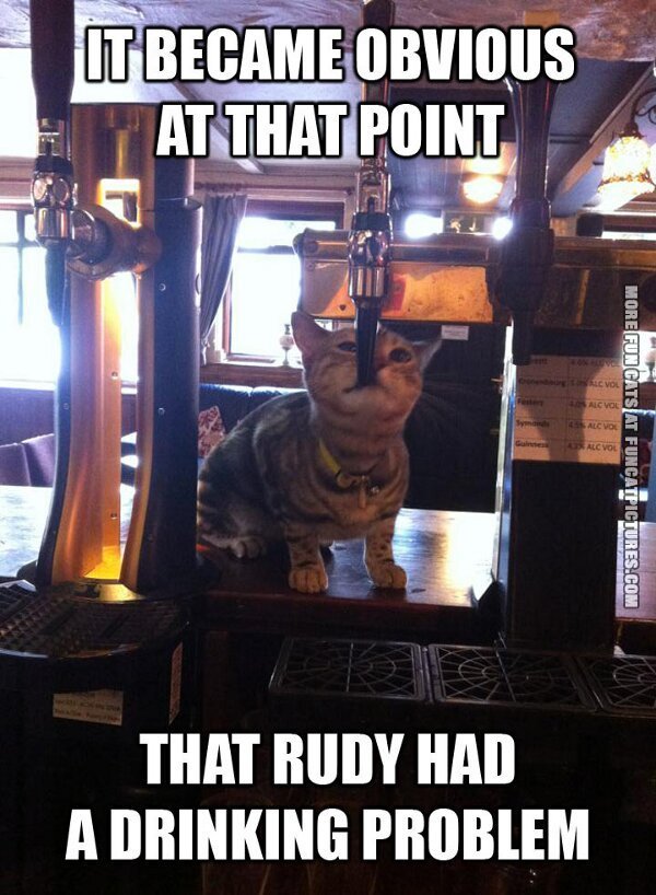 fun-cat-picture-ruby-had-a-drinking-problem.jpg