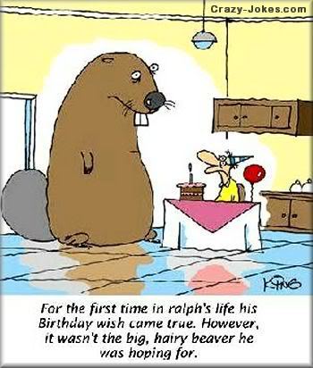 funny-17.jpg