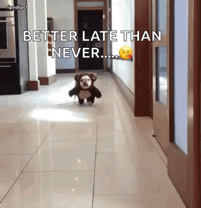 funny-animals-dogs-4023519622.gif