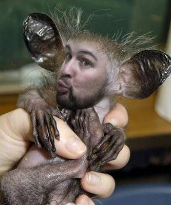 funny-freaky-animal.jpg