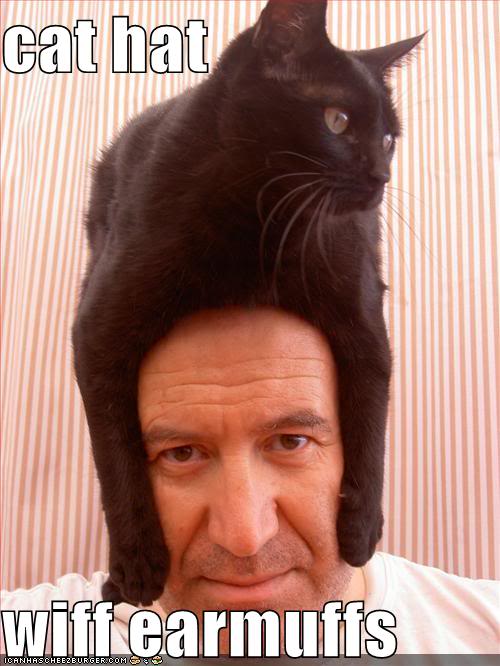 funny-pictures-cat-hat-head1.jpg