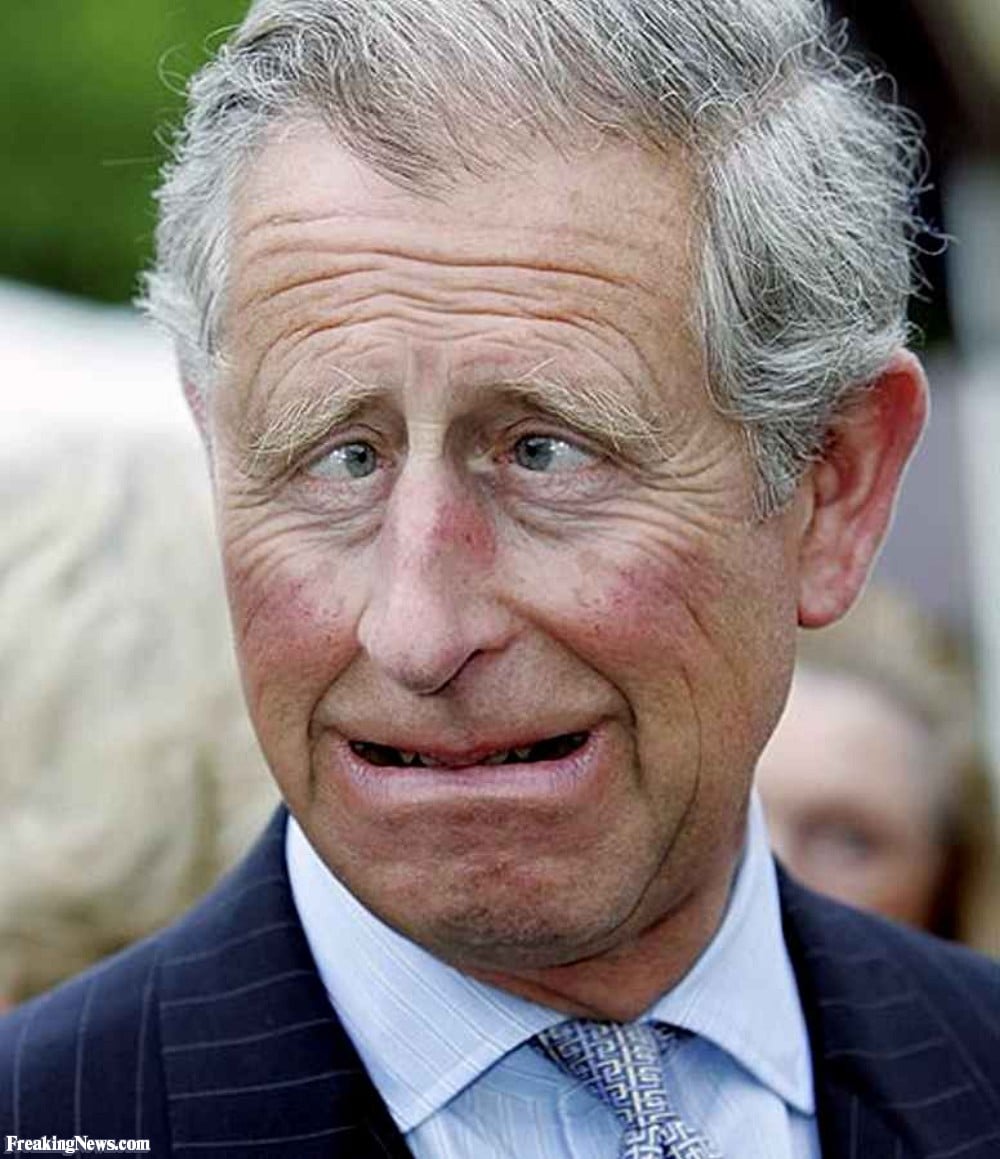 Funny-Prince-Charles-Pulling-Face-58666.jpg