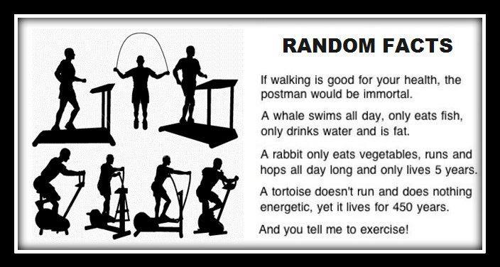 Funny-Random-Facts-Picture.jpg