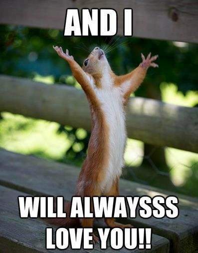 Funny-Squirrel-5.jpg