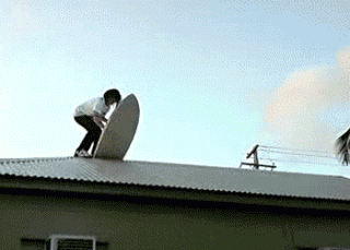 funny-stupid-animated.gif