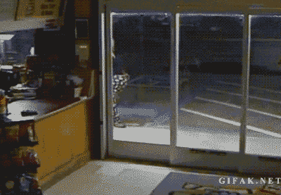 funny-stupid-animated3.gif