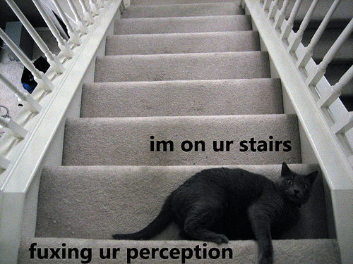 fuxing-ur-perception-2.jpg