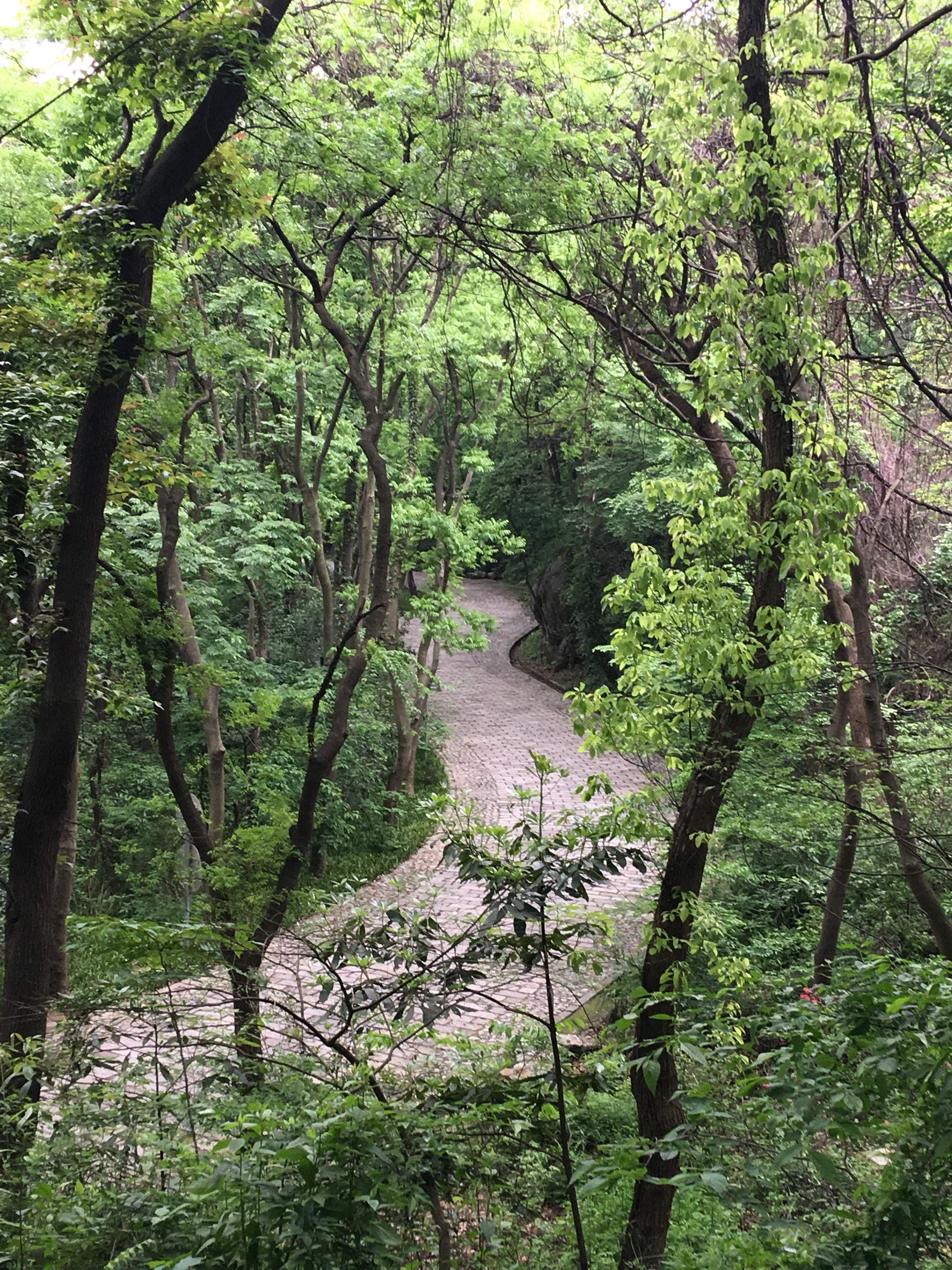 FuxingTemplePath2.jpg