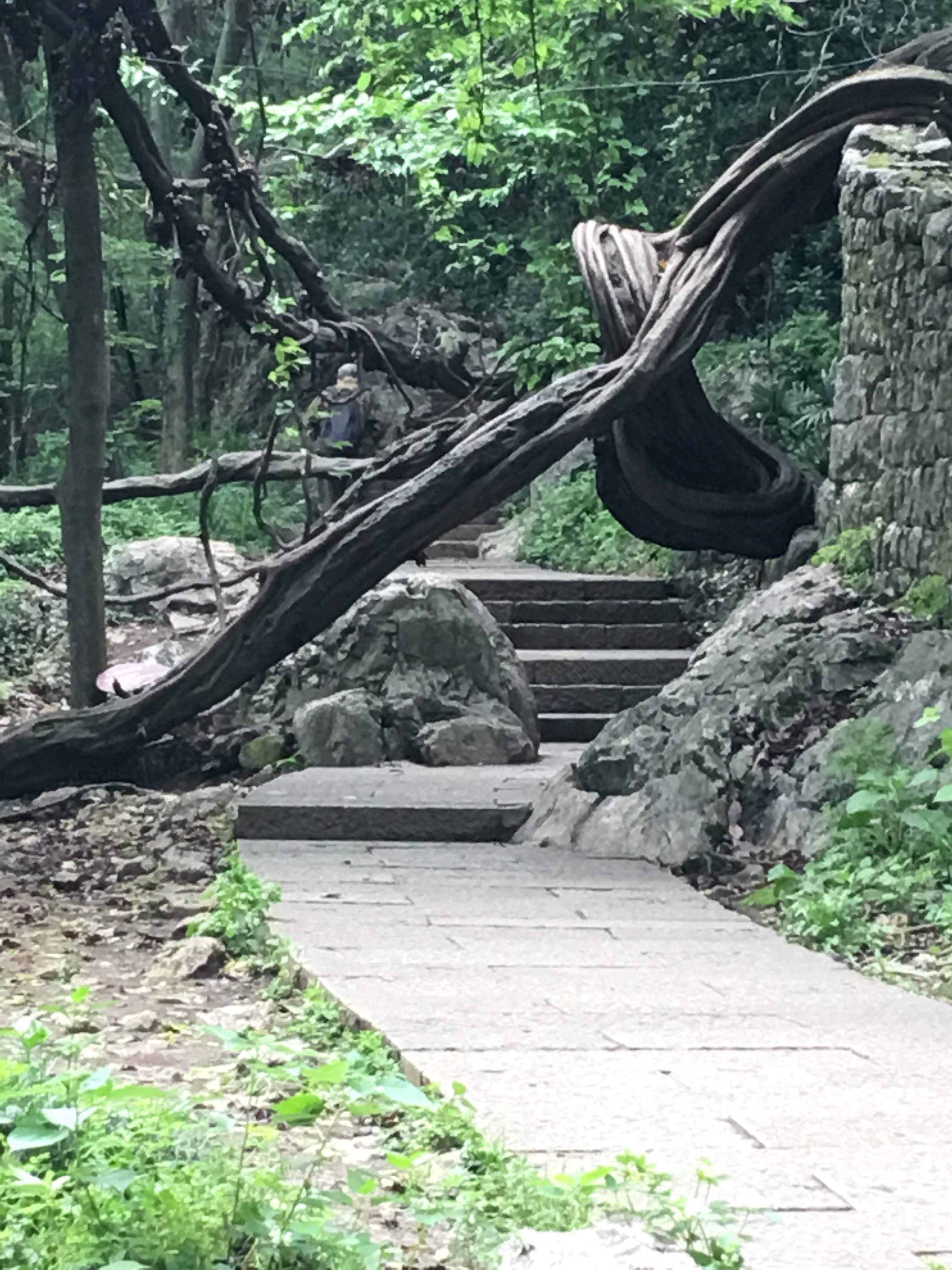 FuxingTemplePath3.jpg