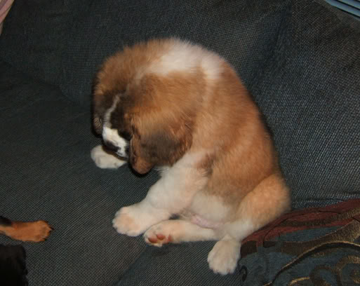 fuzzy.jpg