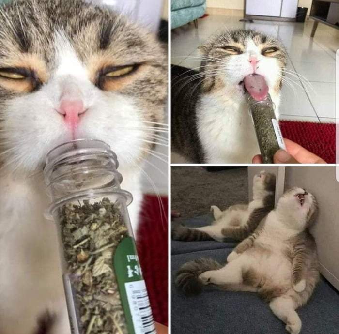FZekjNX.jpg
