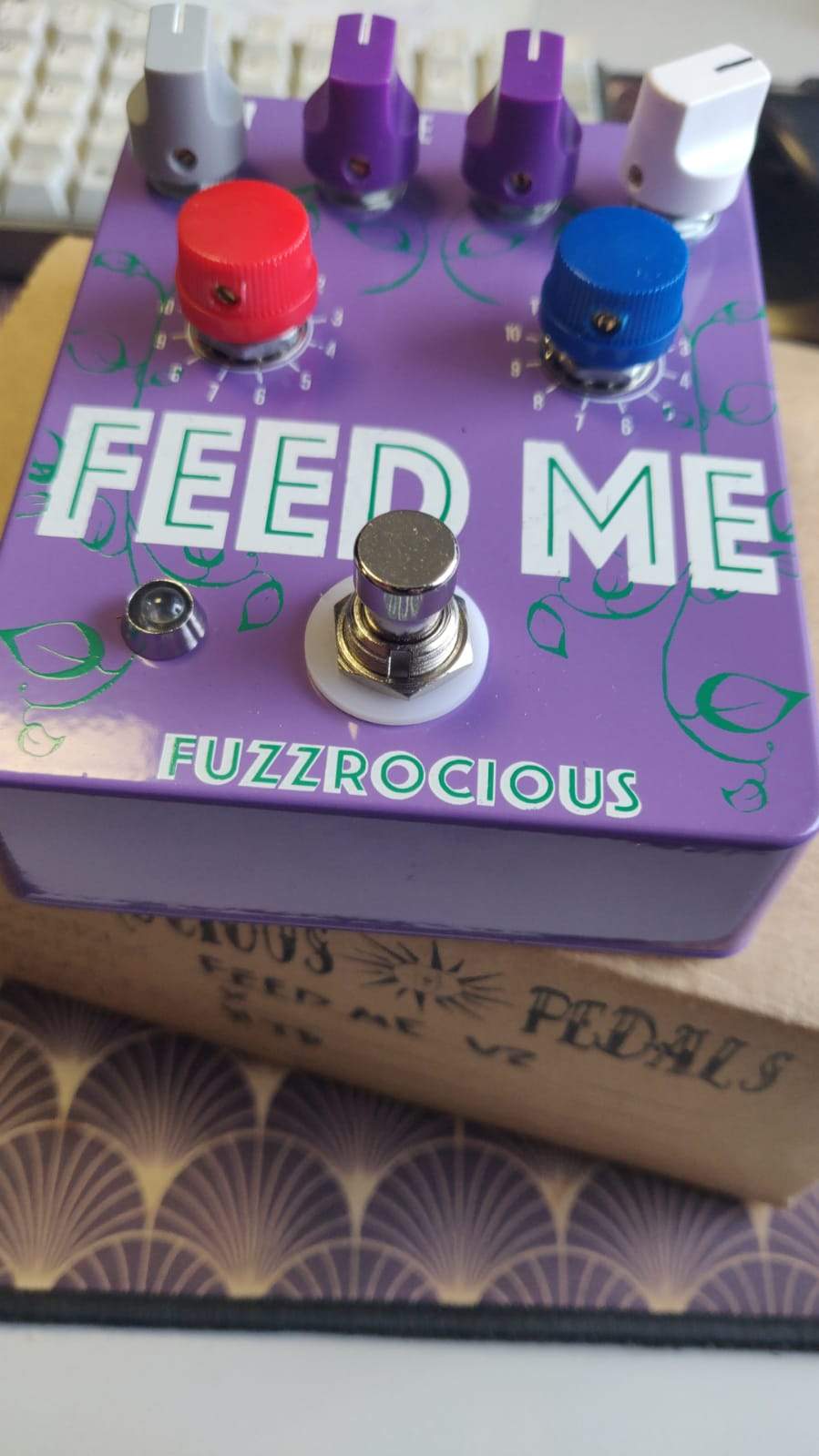 fzz.jpg