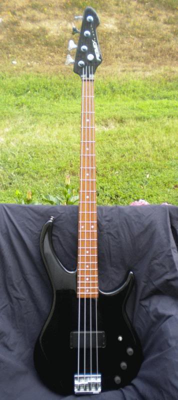G-Bass_zpse1704de2.jpg