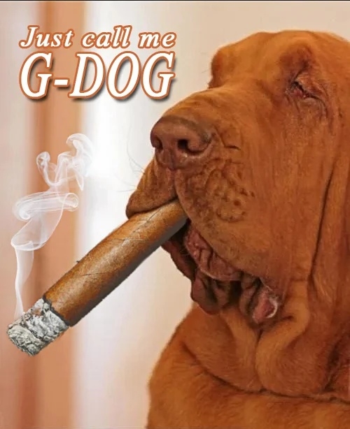 G dog copy.jpg