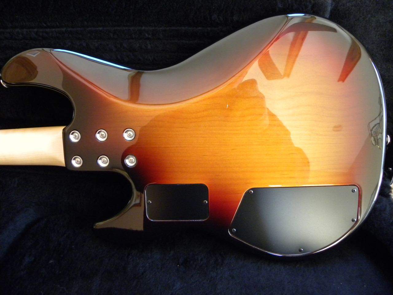 G&L 2.jpg