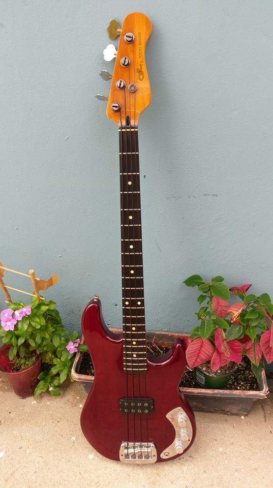 G&L-L-1000.jpg