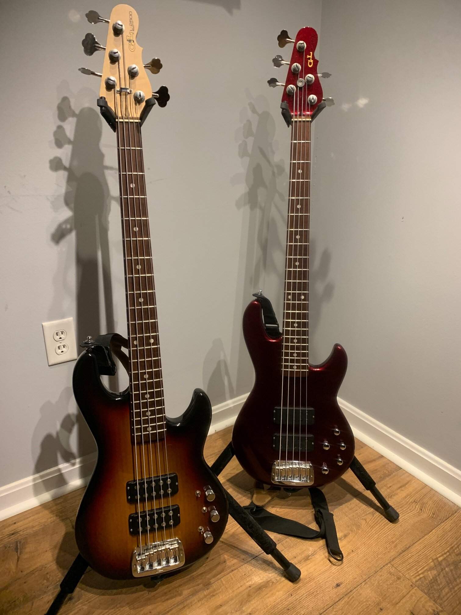 G&L the pair.JPG