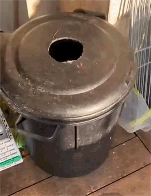 g21s6da984vssf4747.gif