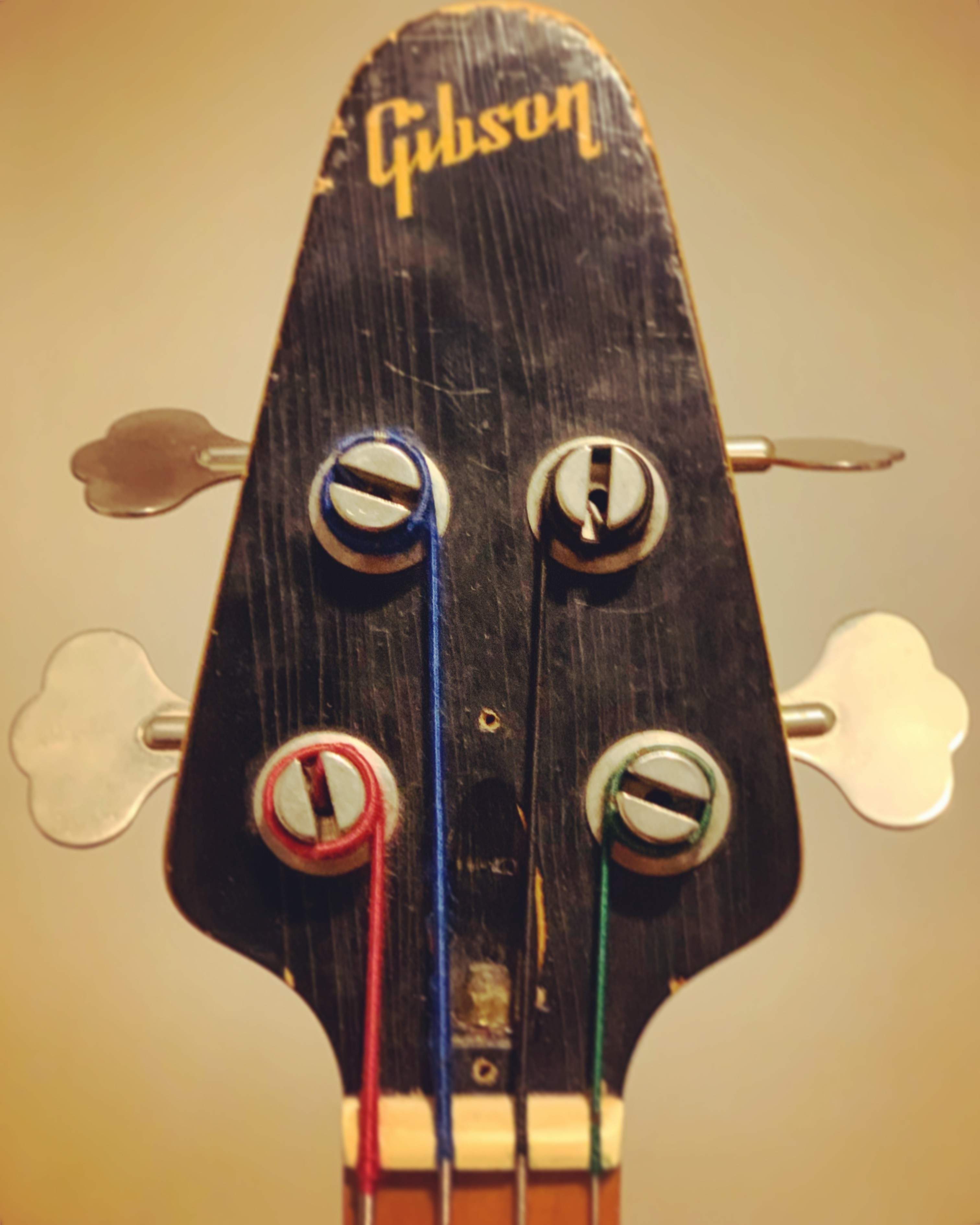 G3 Headstock.jpg