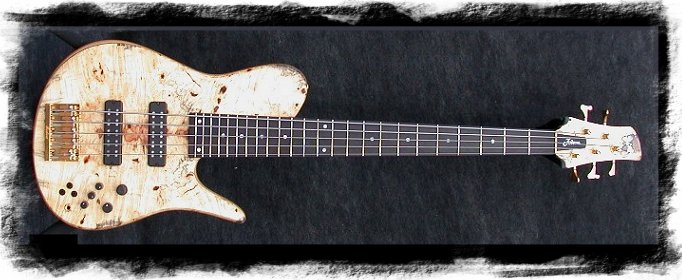 g_fodera1front.jpg